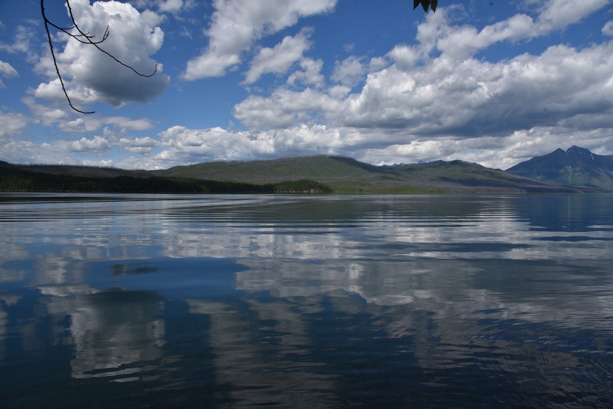 dsc_4233_fs.jpg