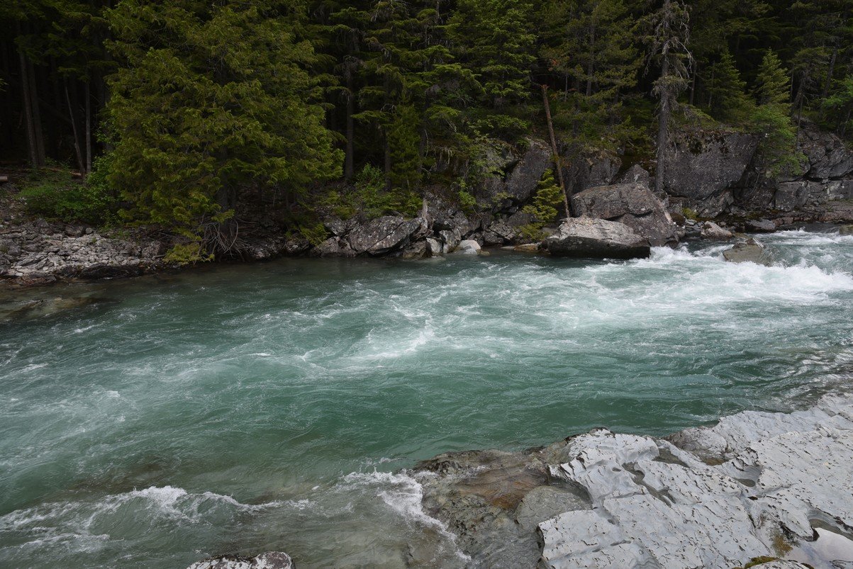 dsc_4307_fs.jpg