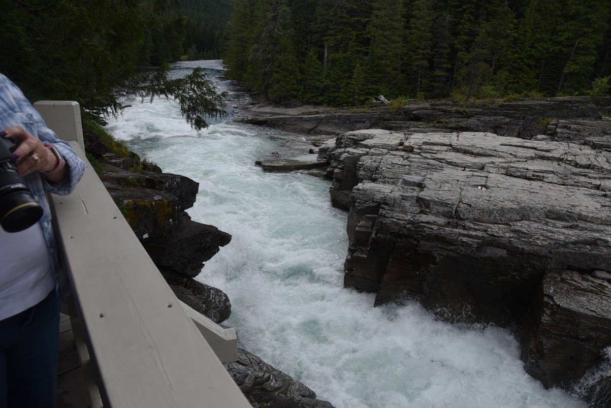 dsc_4311_fs.jpg