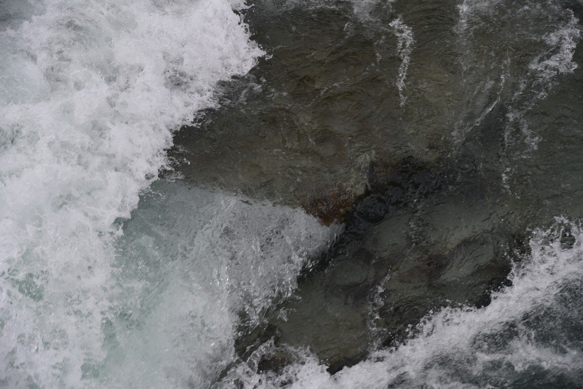 dsc_4316_fs.jpg