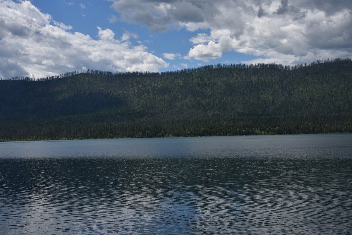 dsc_4341_fs.jpg