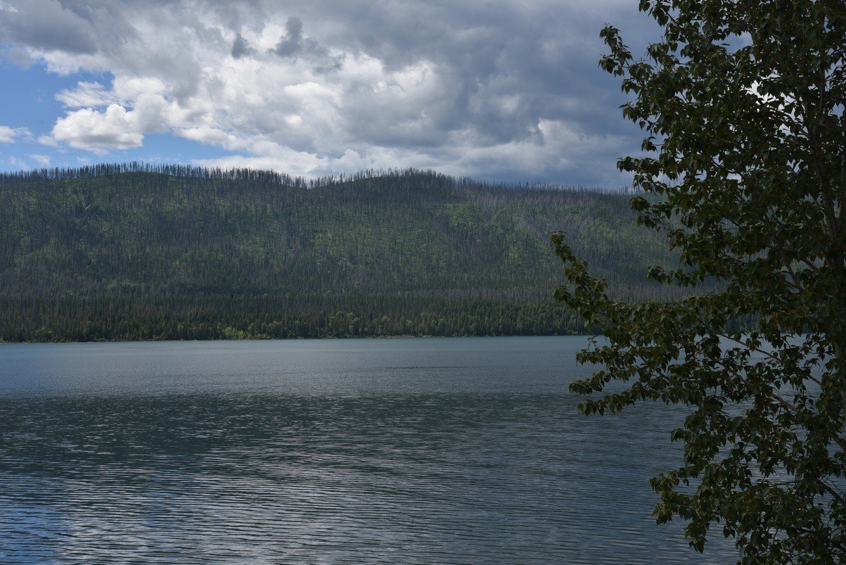 dsc_4342_fs.jpg