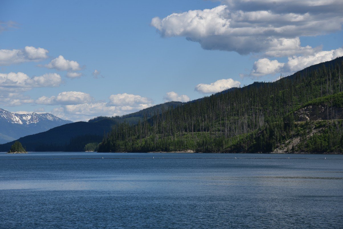 dsc_4395_fs.jpg