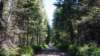 _103541_fs_small.jpg