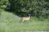 dsc_4407_fs_small.jpg