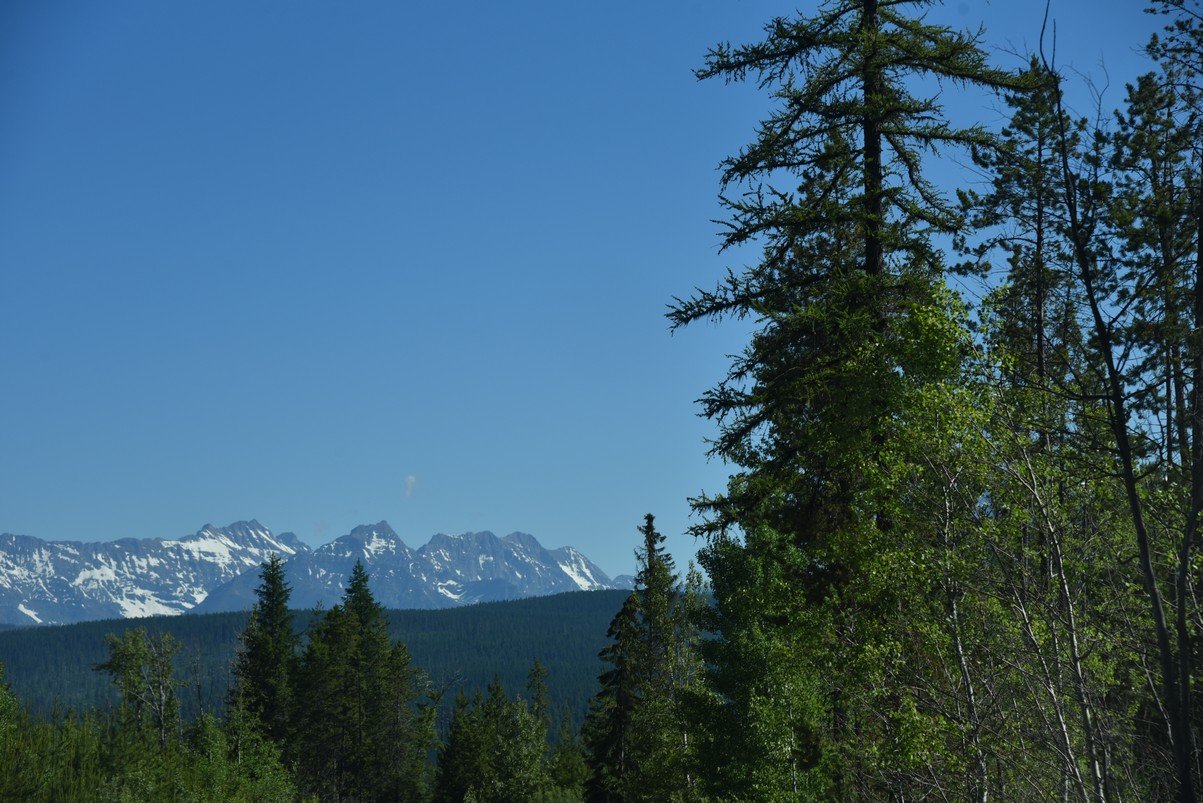 dsc_4432_fs.jpg