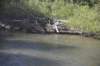dsc_4462_fs_small.jpg