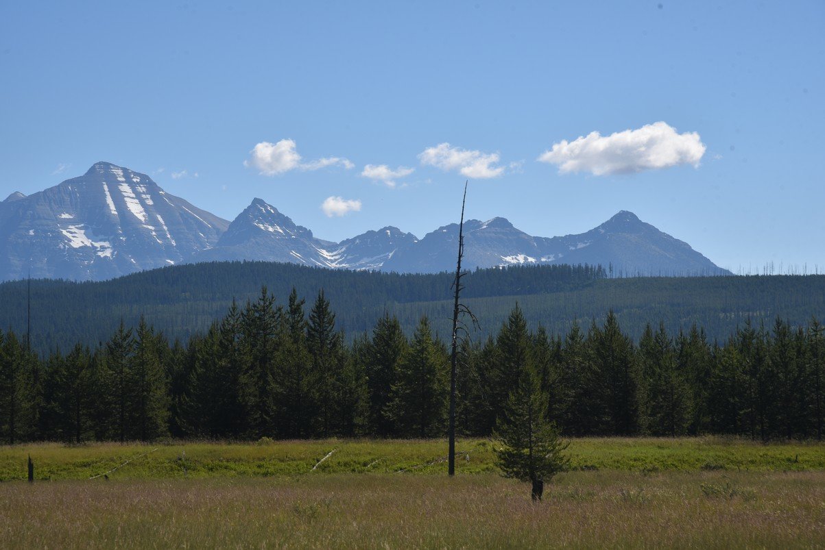 dsc_4470_fs.jpg