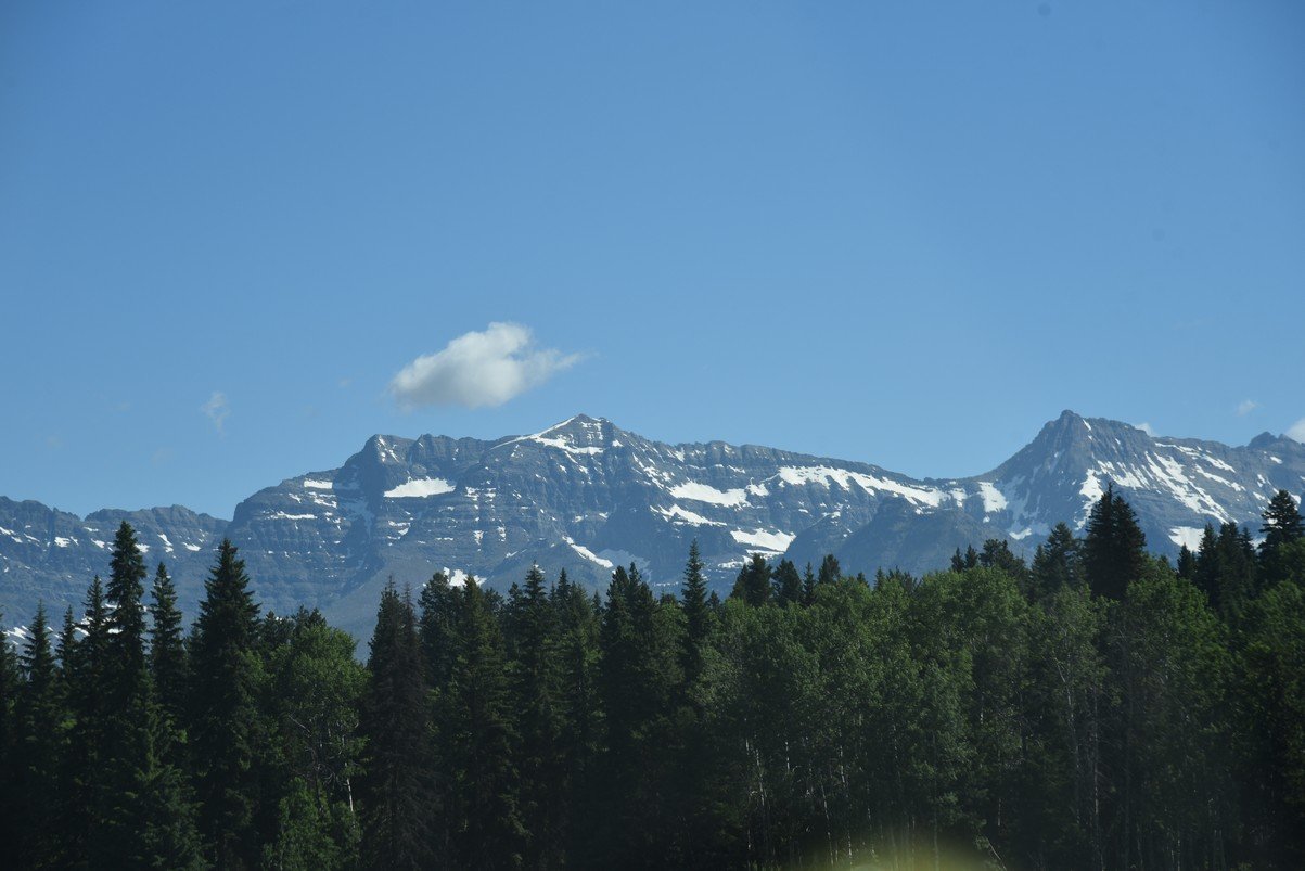 dsc_4487_fs.jpg