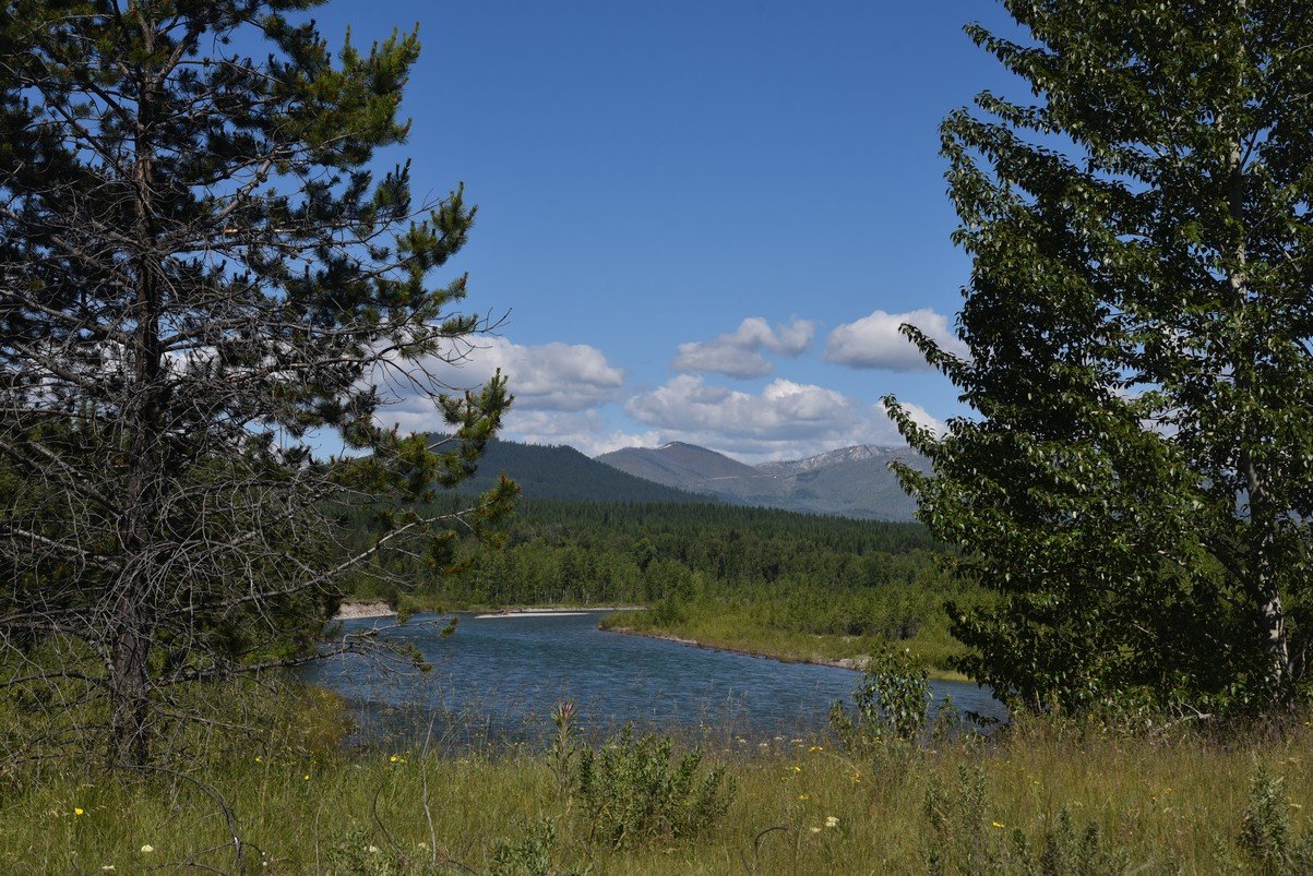 dsc_4488_fs.jpg
