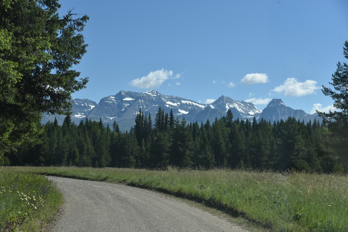dsc_4493_fs.jpg