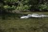 dsc_4547_fs_small.jpg