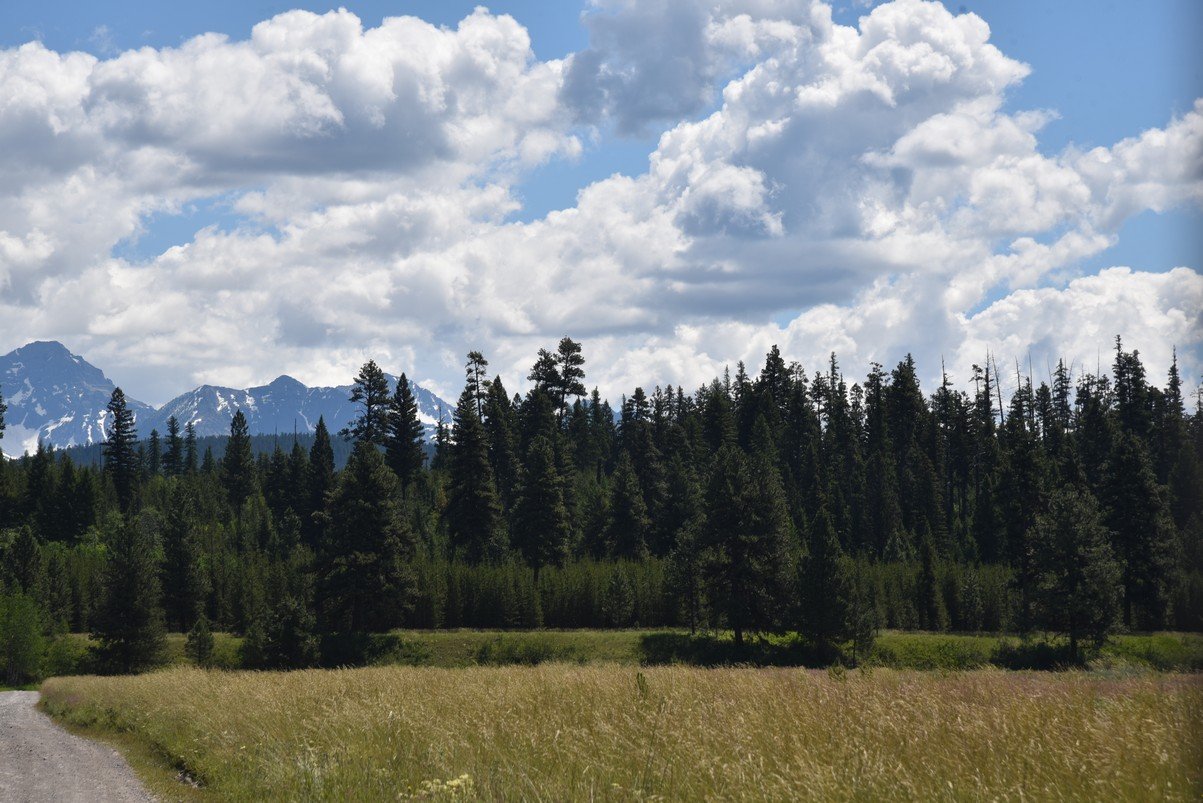 dsc_4576_fs.jpg