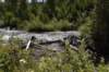 dsc_4590_fs_small.jpg