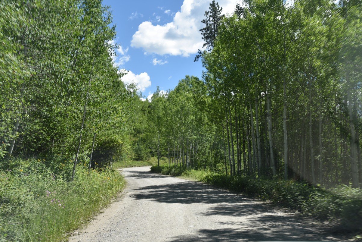 dsc_4591_fs.jpg