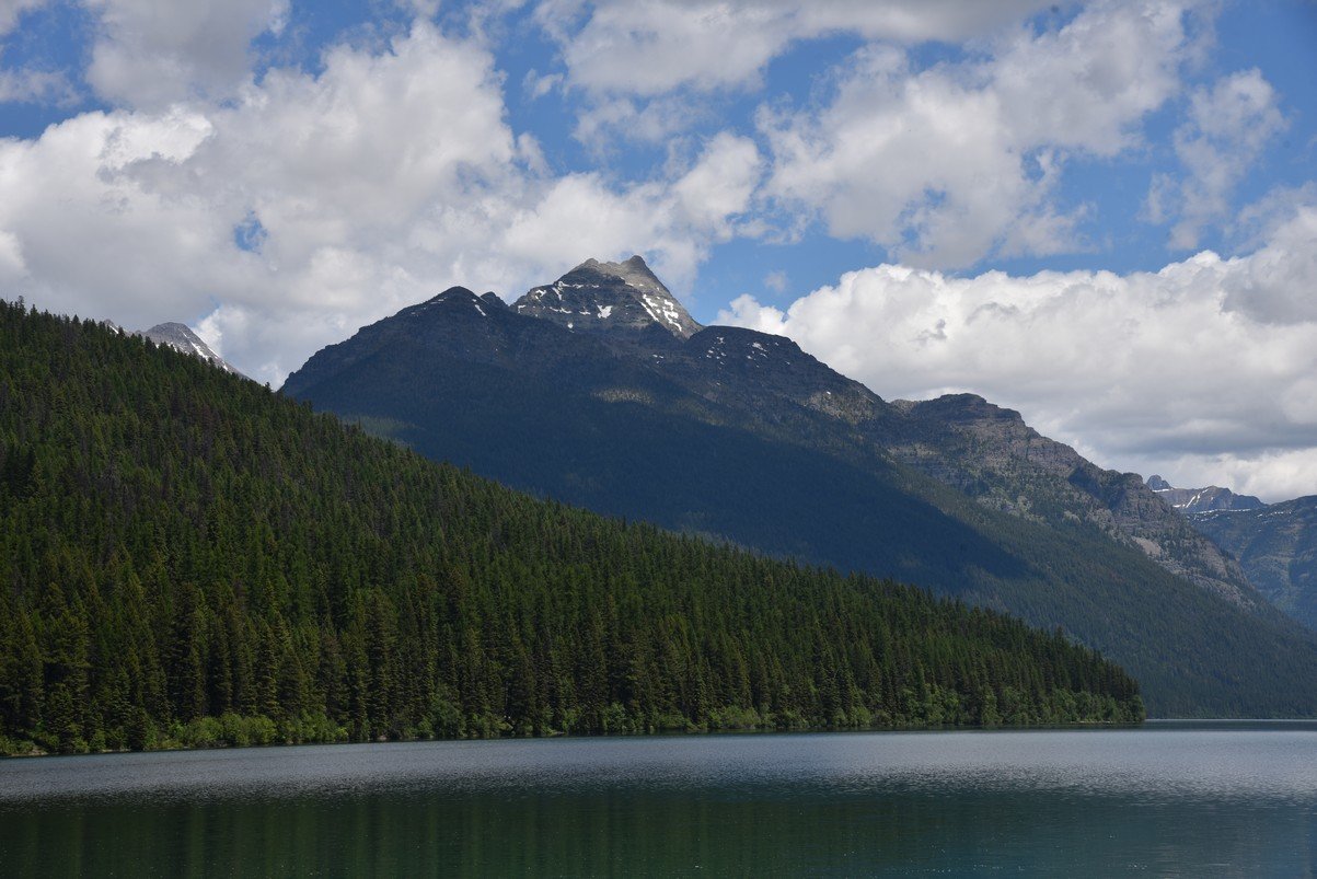 dsc_4604_fs.jpg