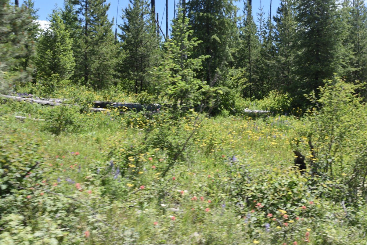 dsc_4614_fs.jpg