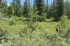 dsc_4614_fs_small.jpg