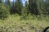 dsc_4616_fs_small.jpg