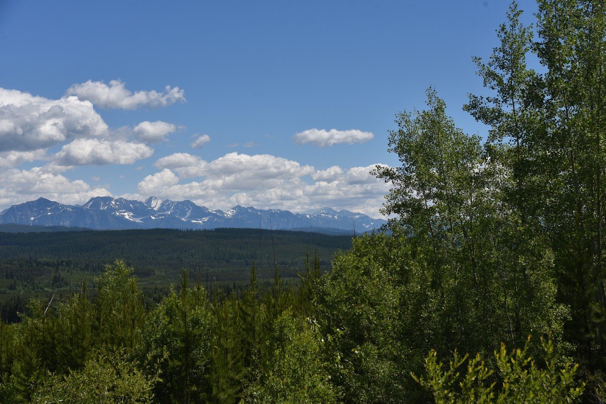 dsc_4635_fs.jpg
