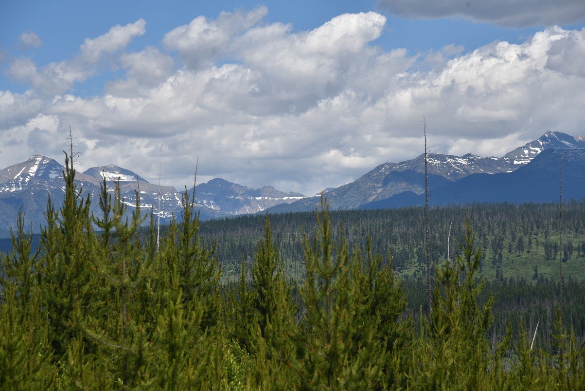 dsc_4639_fs.jpg