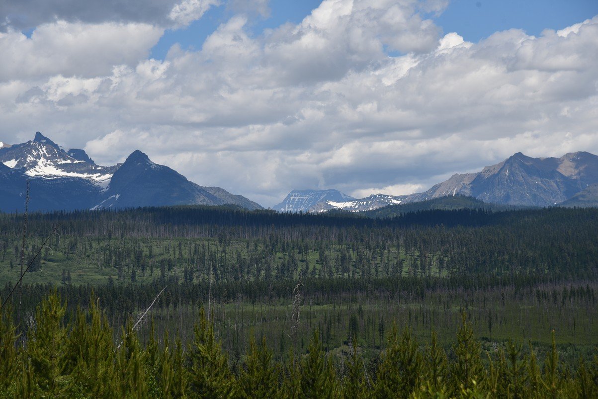 dsc_4642_fs.jpg