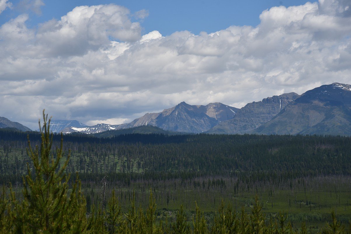 dsc_4644_fs.jpg