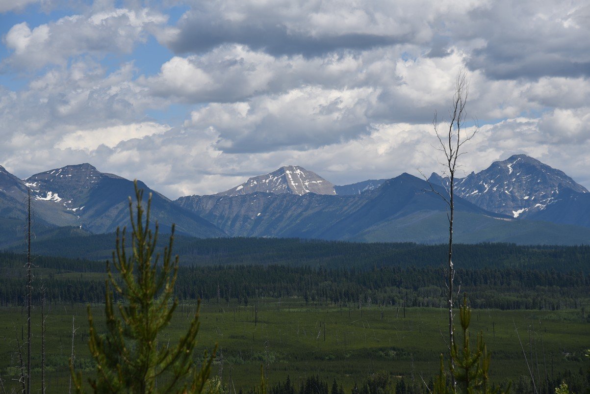 dsc_4649_fs.jpg