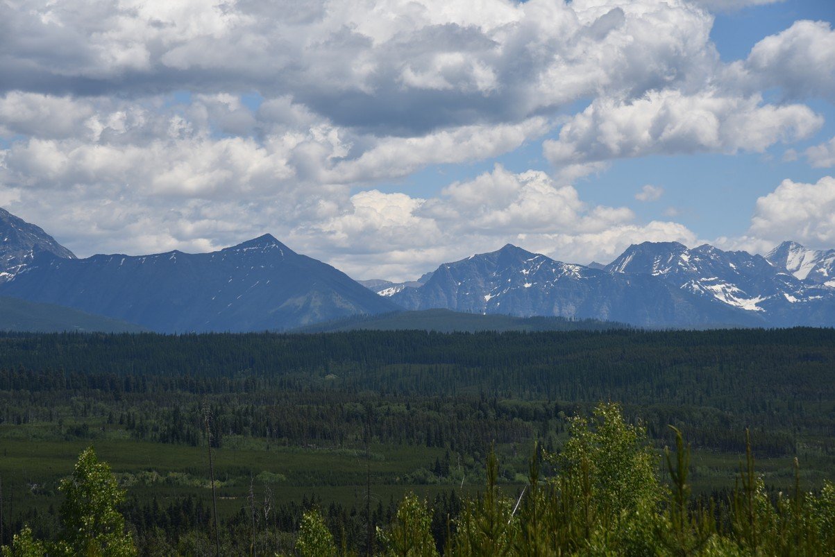 dsc_4651_fs.jpg