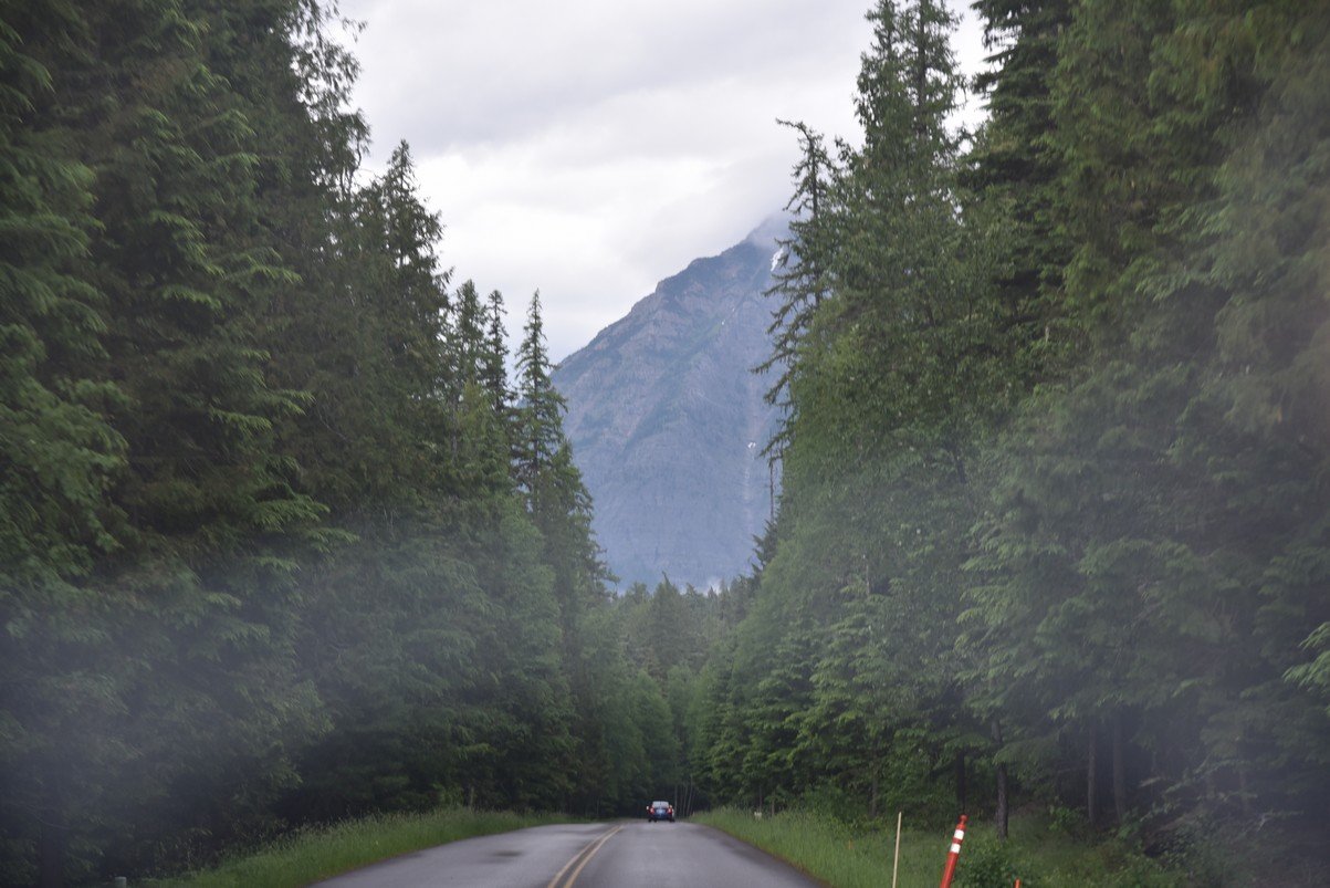dsc_4785_fs.jpg