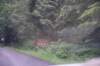 dsc_4799_fs_small.jpg