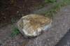 dsc_4815_fs_small.jpg
