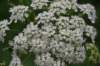 dsc_4834_fs_small.jpg