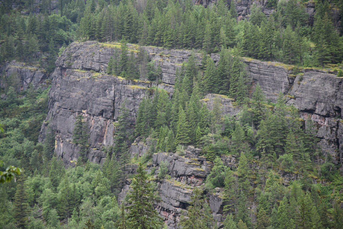dsc_4856_fs.jpg