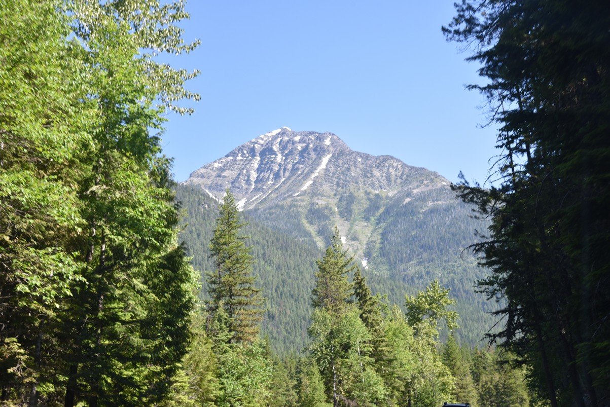 dsc_5142_fs.jpg