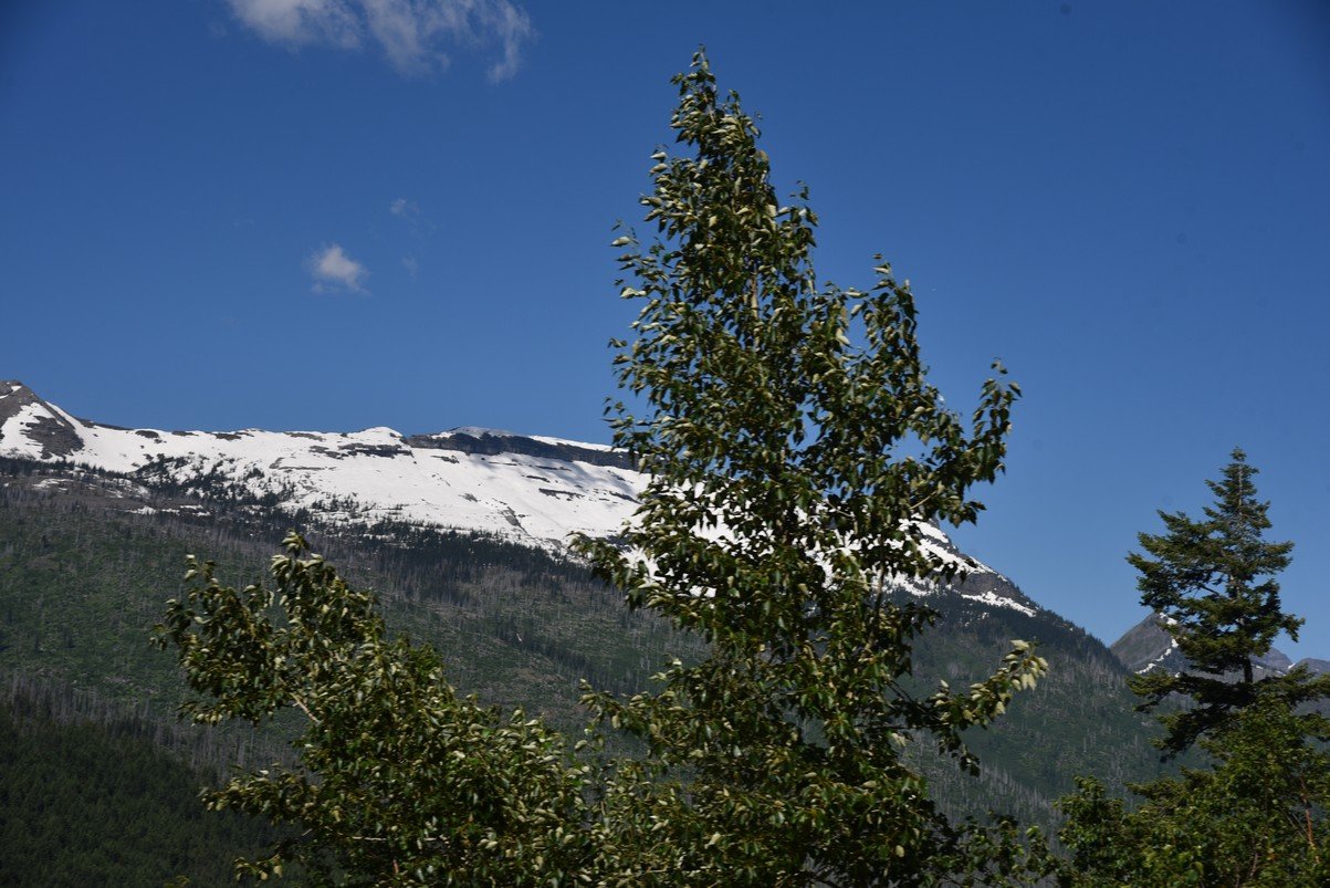 dsc_5160_fs.jpg