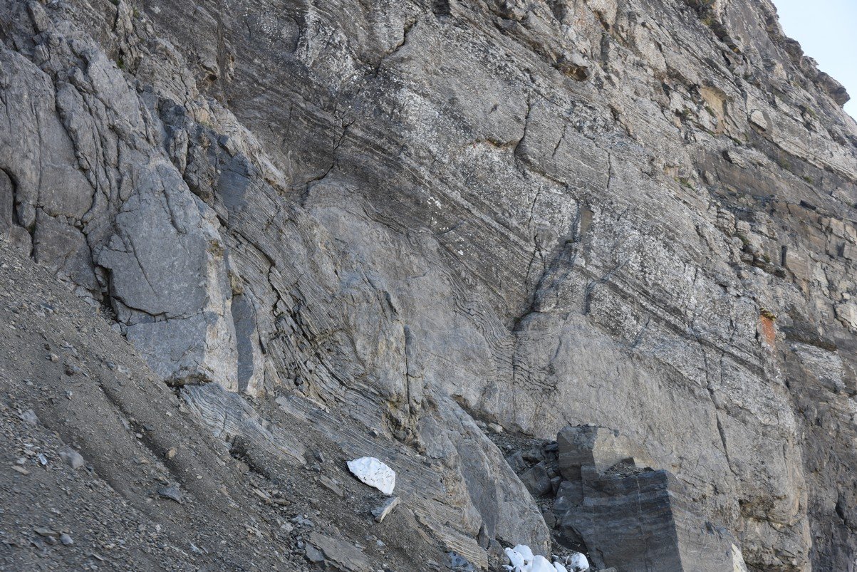 dsc_5335_fs.jpg