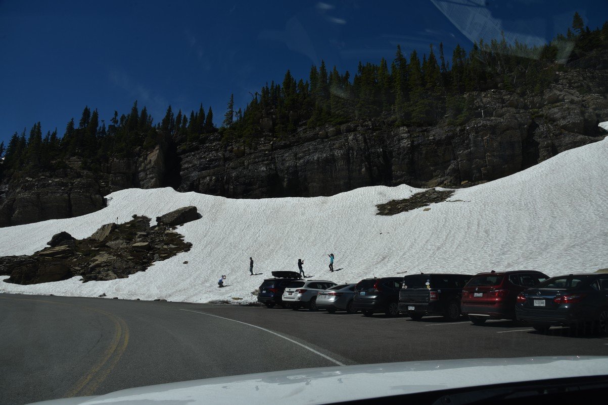 dsc_5341_fs.jpg
