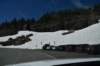 dsc_5341_fs_small.jpg