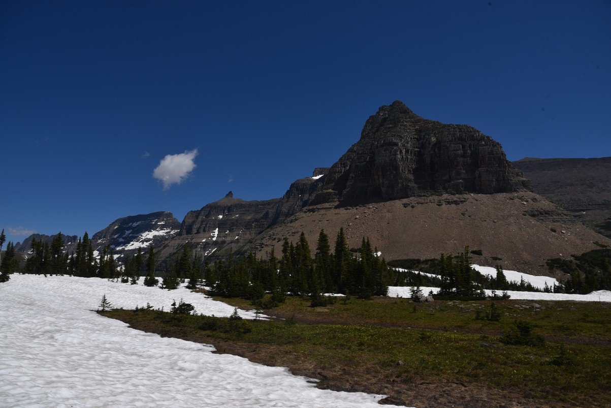 dsc_5362_fs.jpg