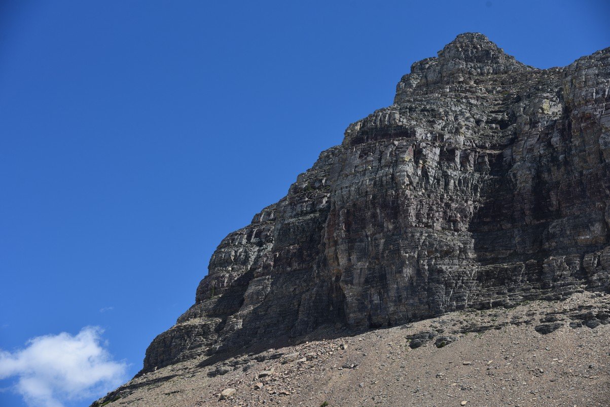 dsc_5388_fs.jpg