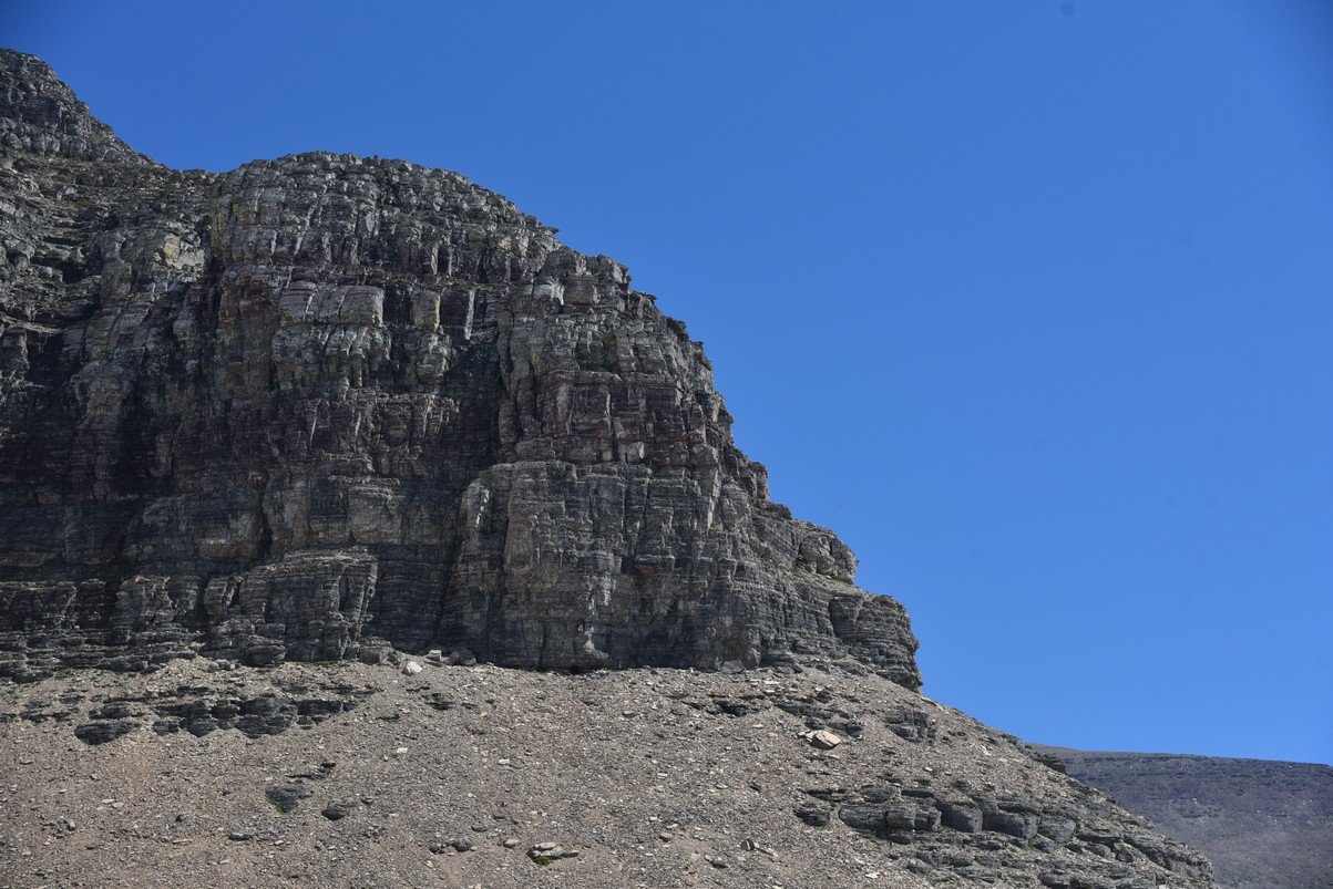 dsc_5390_fs.jpg