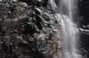 dsc_5409_fs_small.jpg