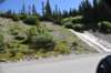 dsc_5426_fs_small.jpg