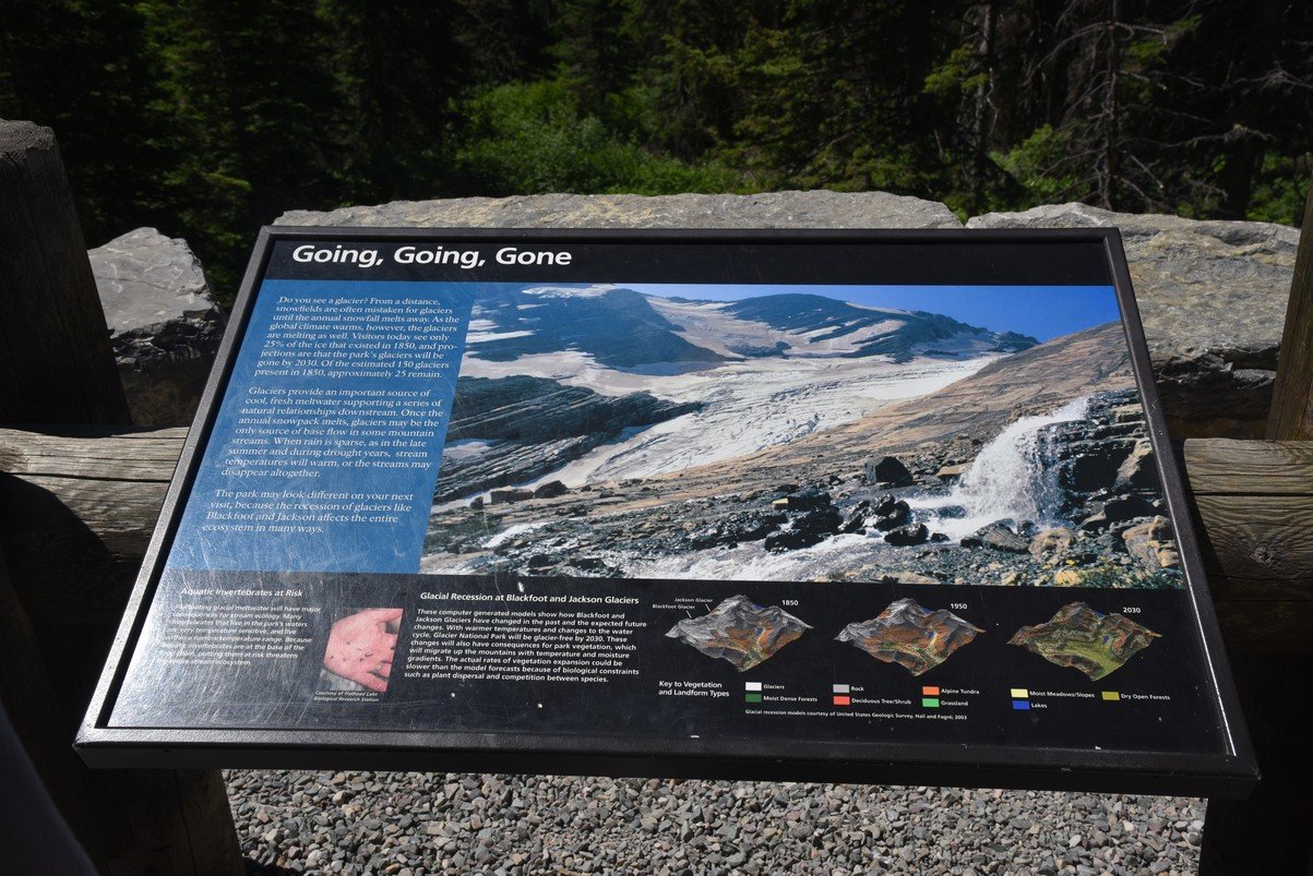 dsc_5432_fs.jpg