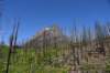 dsc_5448_fs_small.jpg