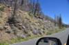 dsc_5455_fs_small.jpg