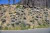 dsc_5456_fs_small.jpg