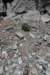 dsc_5472_fs_small.jpg