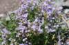 dsc_5474_fs_small.jpg